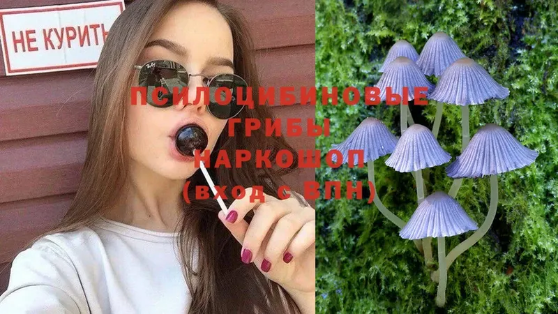 omg ССЫЛКА  Коряжма  Галлюциногенные грибы мухоморы 